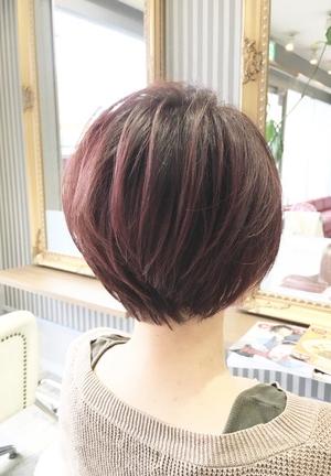 丸みショートボブ✖️ピンクバイオレット