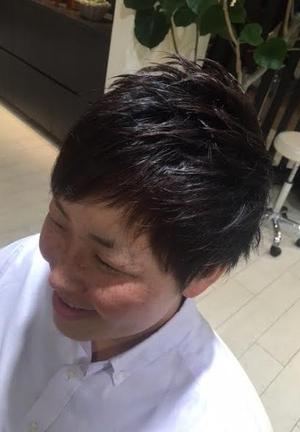 スタイリッシュショート